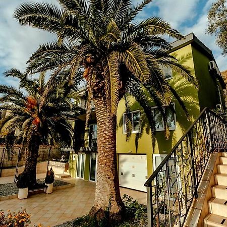 Olive Garden Apartment Petrovac Extérieur photo