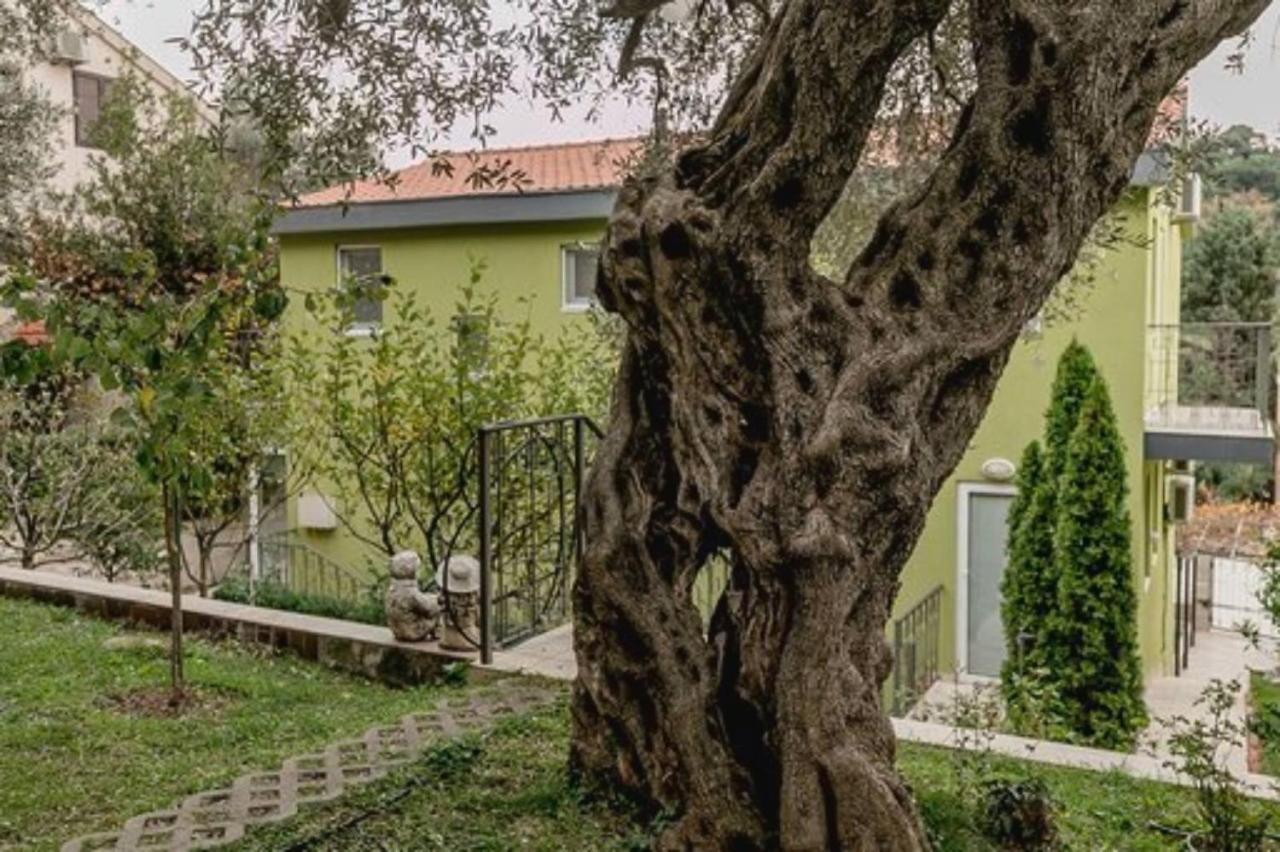Olive Garden Apartment Petrovac Extérieur photo